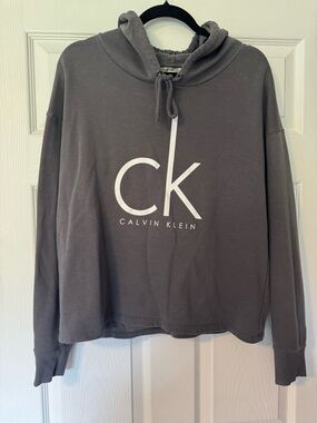 Calvin Klein Jeans Gray Pullover Hoodie with Drawstring